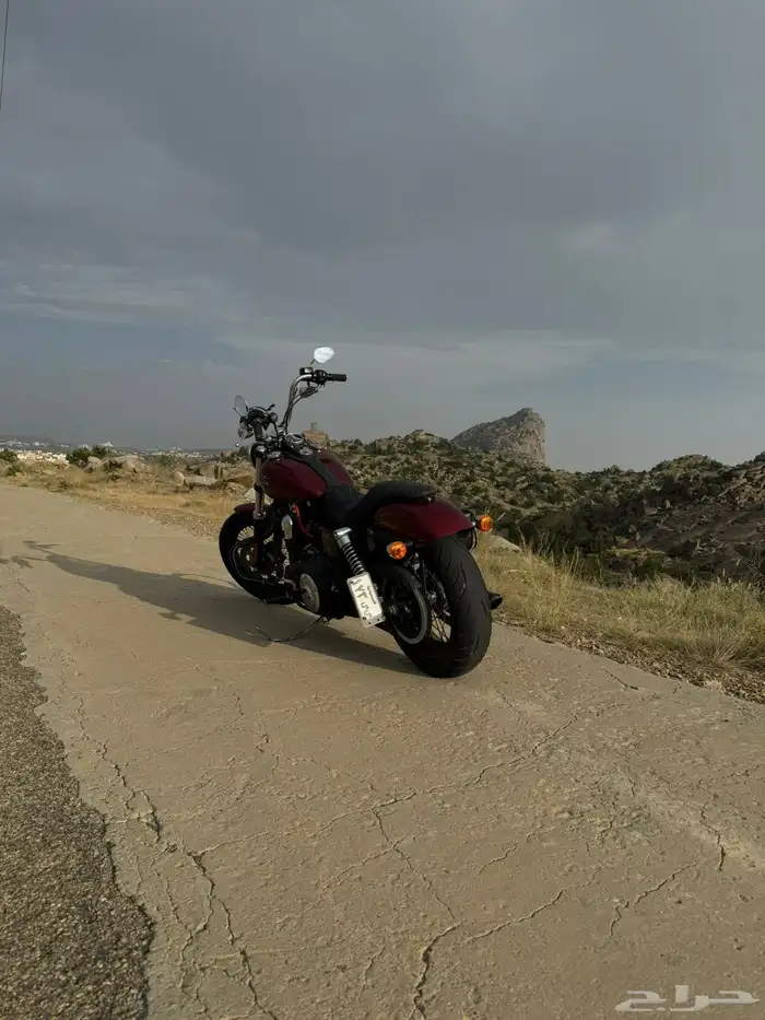 دباب Street bob ( Dayna ) 2016 5