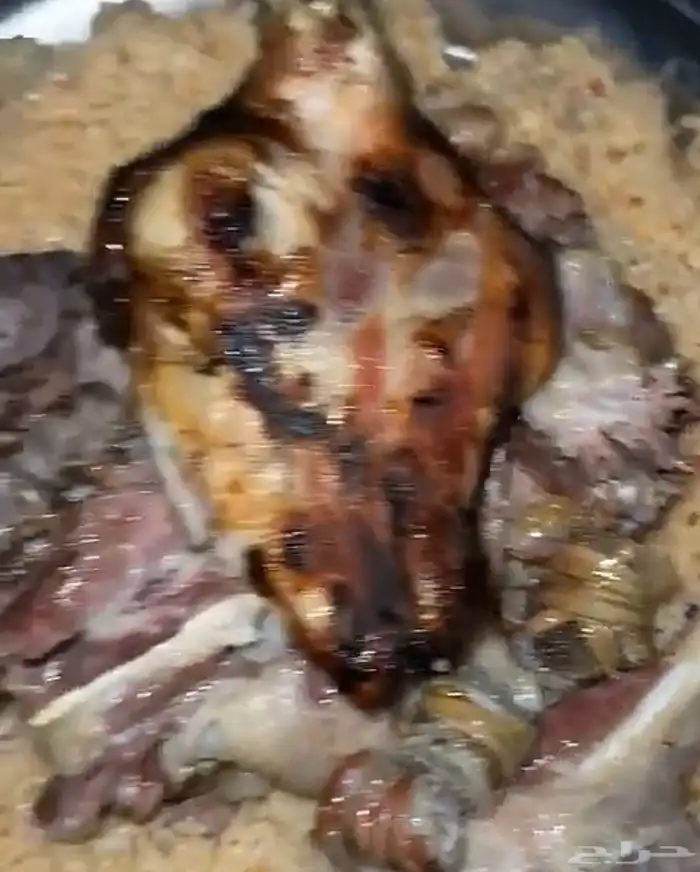 مرخ طازج للحنيذ والمندي 2
