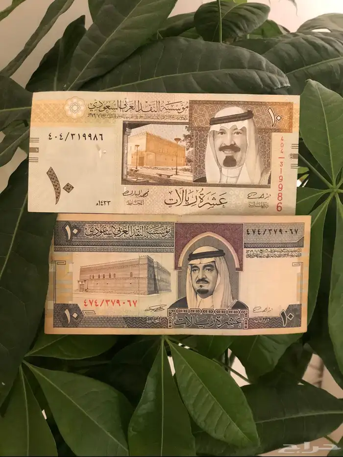 عشرة ريال 0