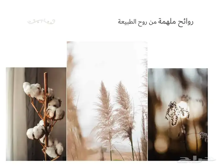 فواحة عطرية   معطر أجواء   جهاز تعطير فندقي 6