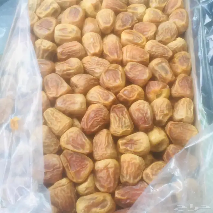 تمر سكري رطب ومفتل 6