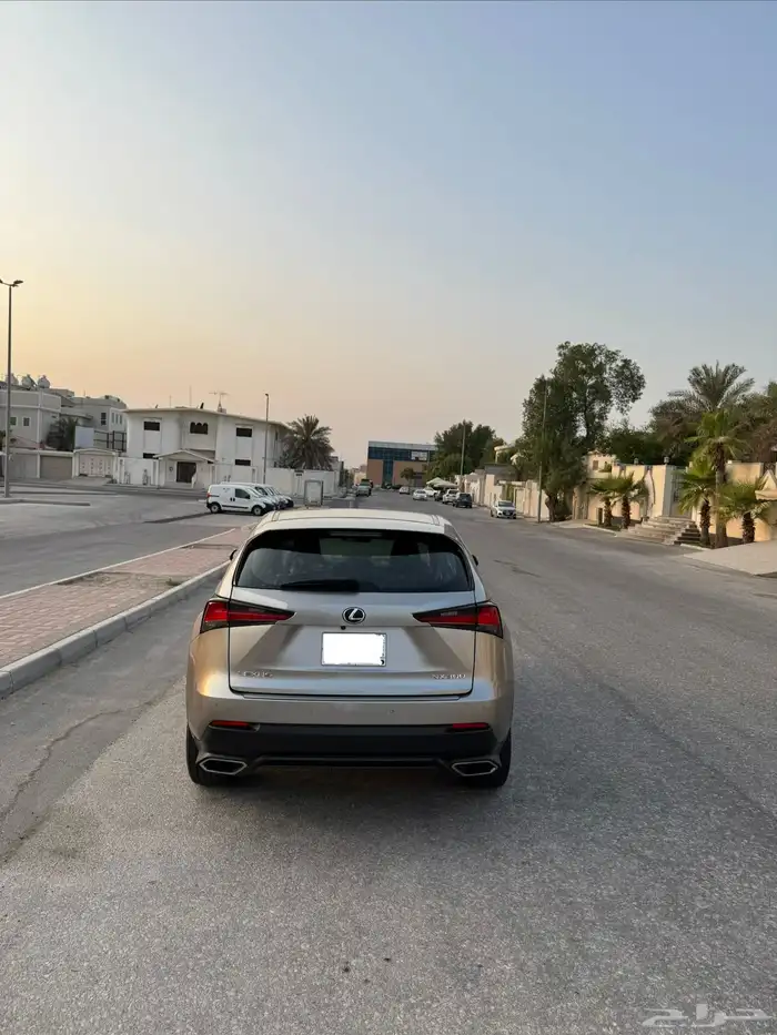 لكزس NX300 ستاندرد 2020 4