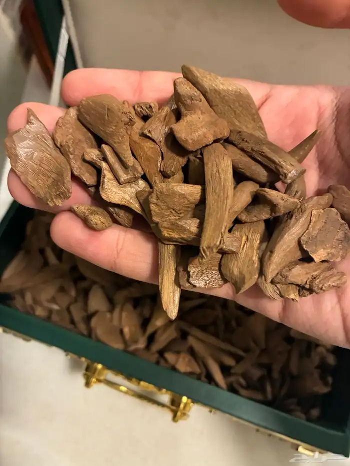 عود موروكي آصقون فاخر ( طبيعي ) سعر منافس 0