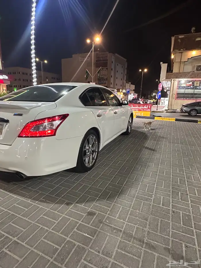 نيسان مكسيما 2010 0