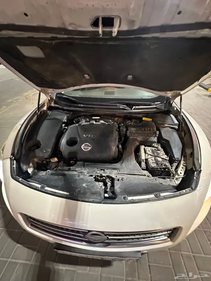 نيسان مكسيما 2010 14