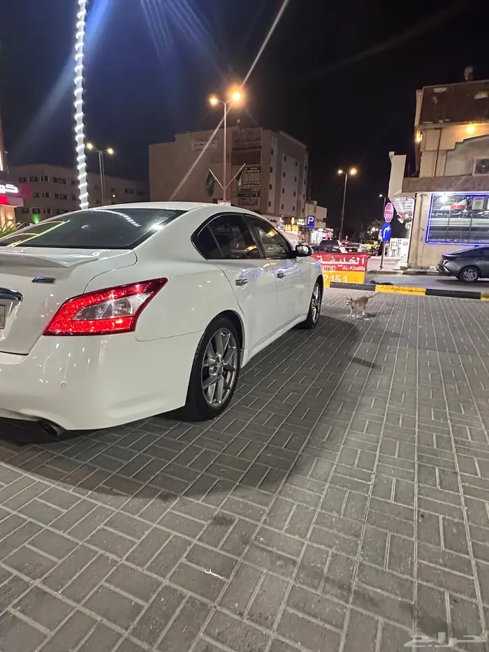 نيسان مكسيما 2010 1