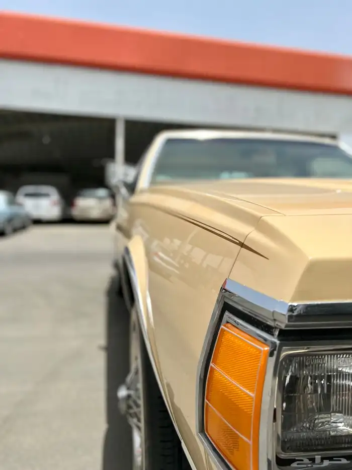 كابرس 1979مخزن وكاله 12