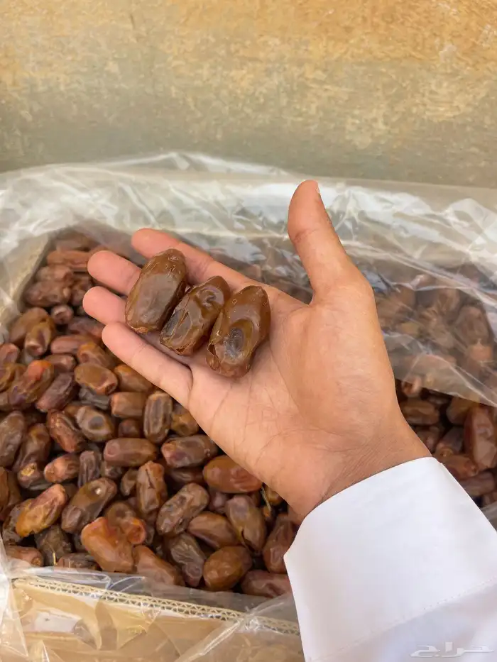 تمر سري خلاص صقعي وبعض الانواع 3