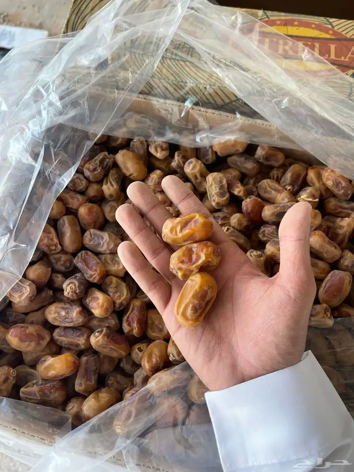 تمر سري خلاص صقعي وبعض الانواع 0