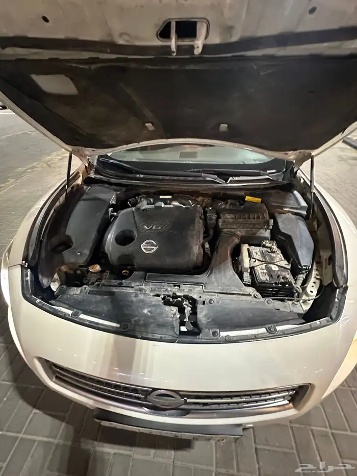 نيسان مكسيما 2010 13