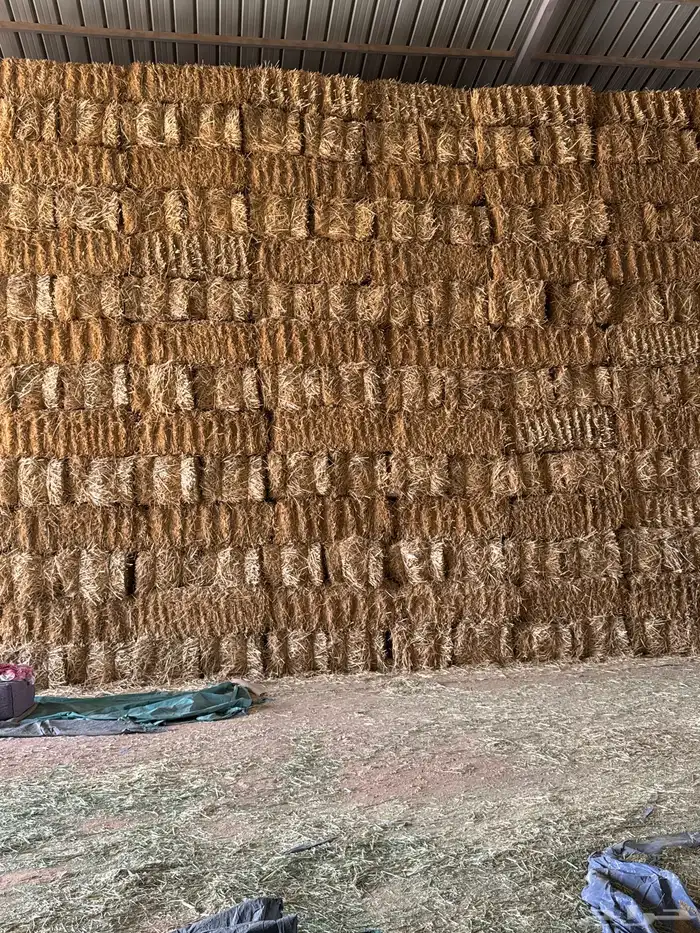 تبن بر جديد 0