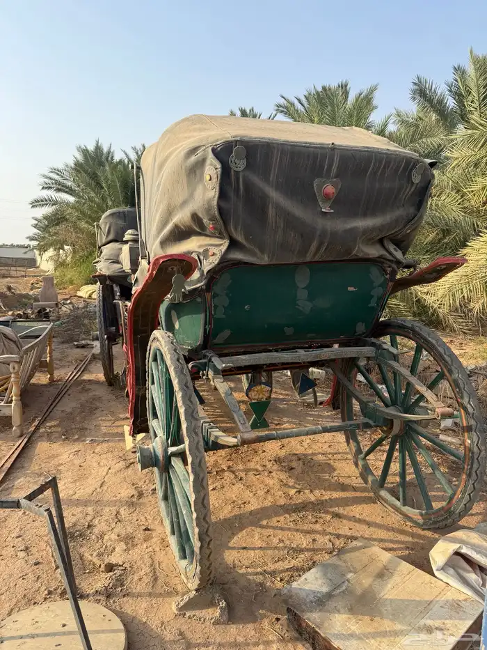 عربات خيل للبيع 0