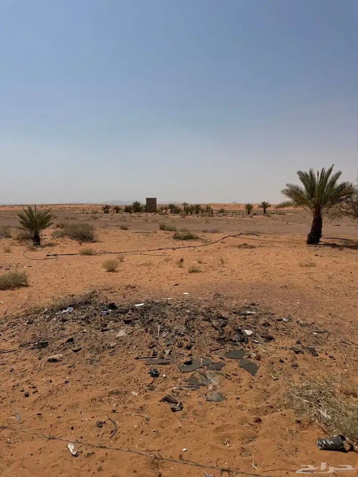 للبيع ارض بصك زراعي بالمشيطيه 4