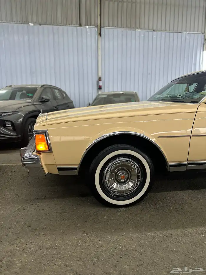 كابرس 1979مخزن وكاله 3