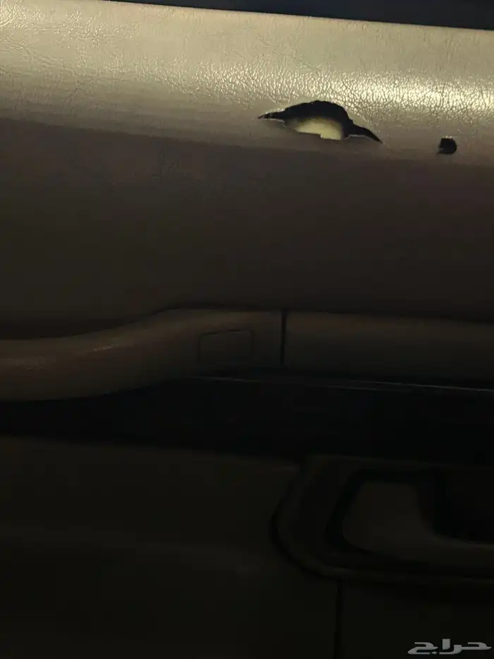 لوحه مميزه للبيع   و ص م   16 10