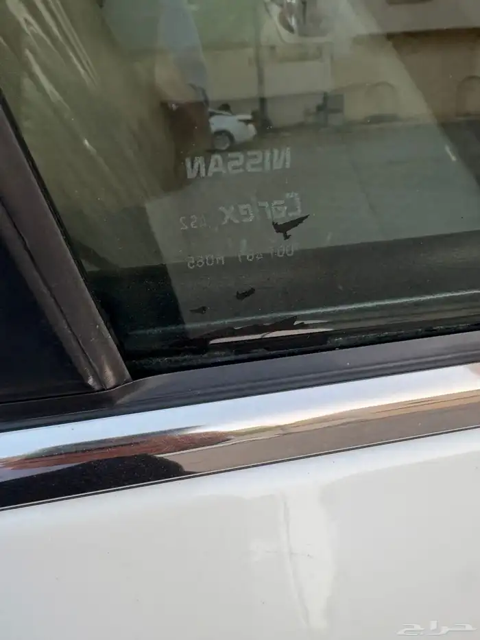 التميا 2017 16