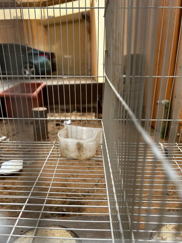 قفص منقسم نصفين كبير علا السوم 3