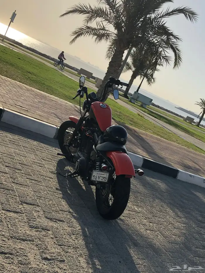 هارلي سبوستر للبيع 1