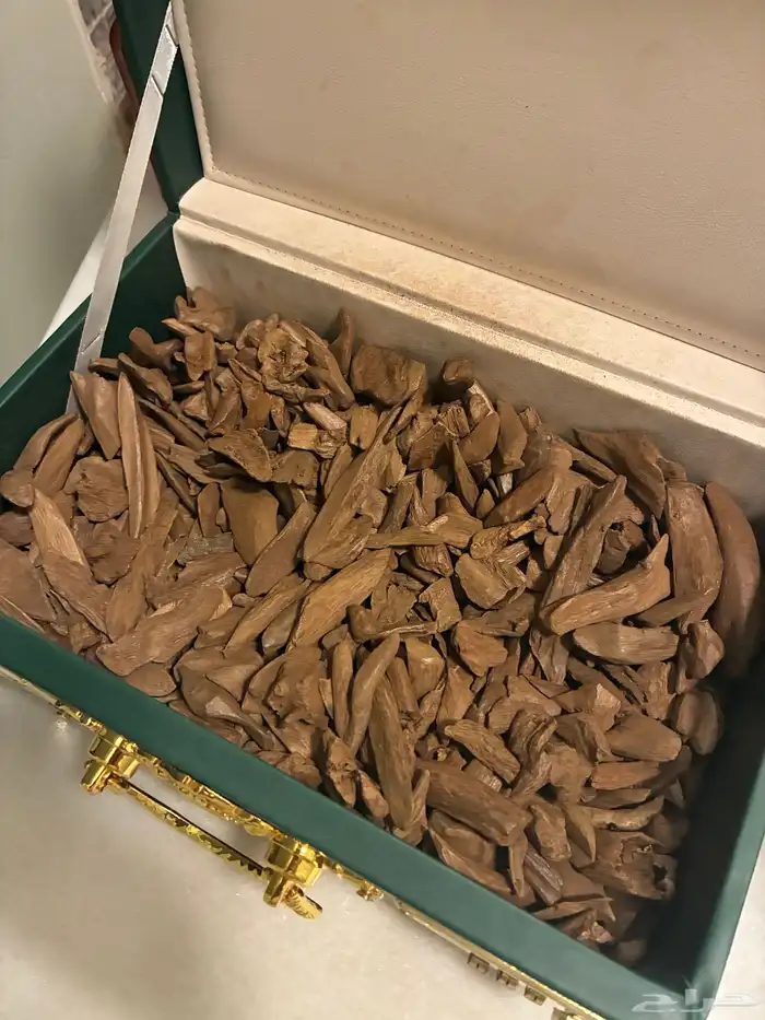 عود موروكي آصقون فاخر ( طبيعي ) سعر منافس 1