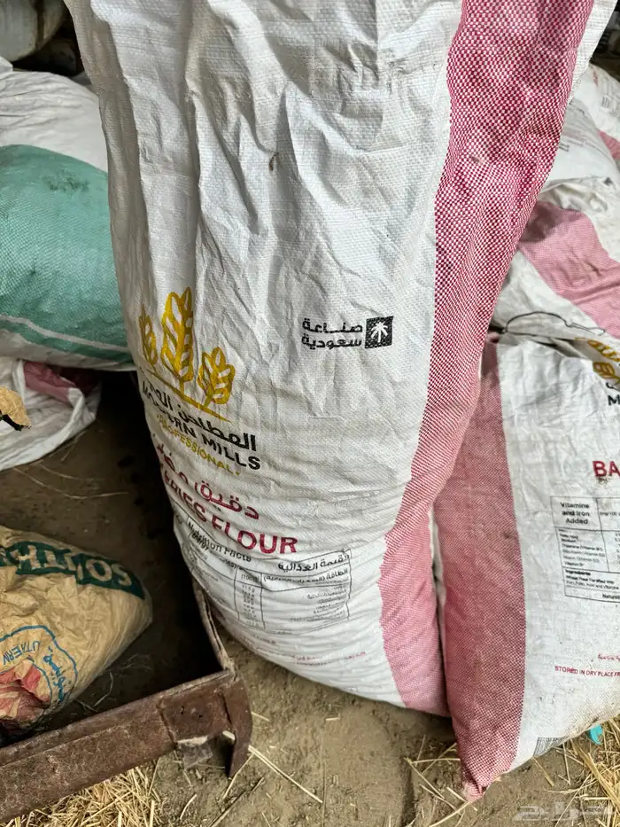 تمر نفيع البيع 1