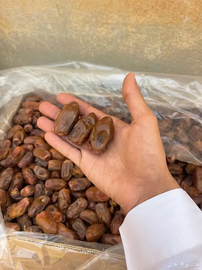 تمر سري خلاص صقعي وبعض الانواع 4