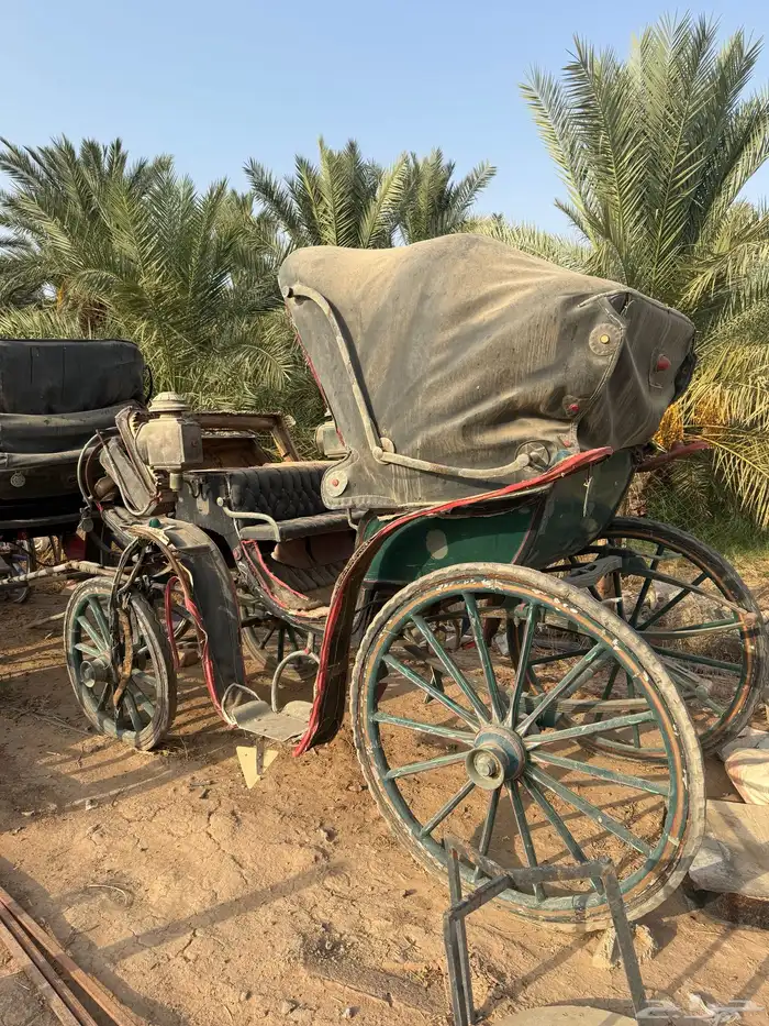 عربات خيل للبيع 2