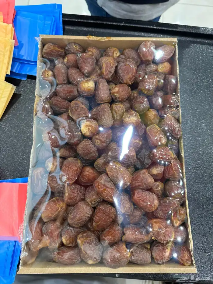 تمر جلكسي 1