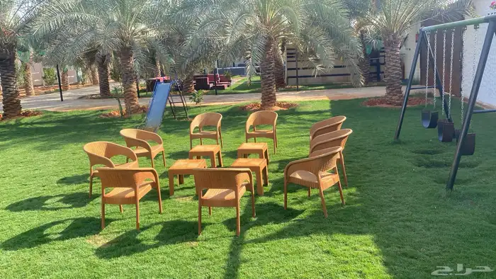 قهوجي  الرياض  قهوجي  ومضيف 7