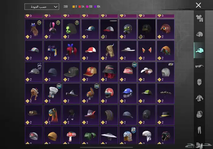 حساب ببجي للبيع 17