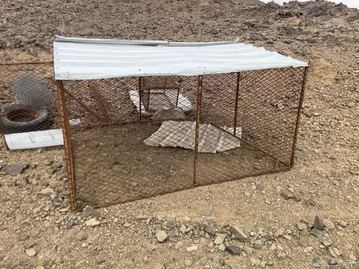 شبك 2