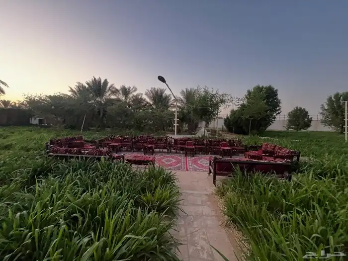 منتجع - إستراحة - للبيع أو للإيجار السنوي 5