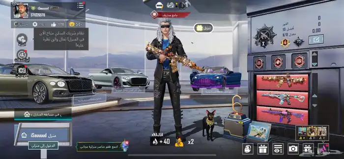 حساب ببجي اسطوري 230 مثك 0