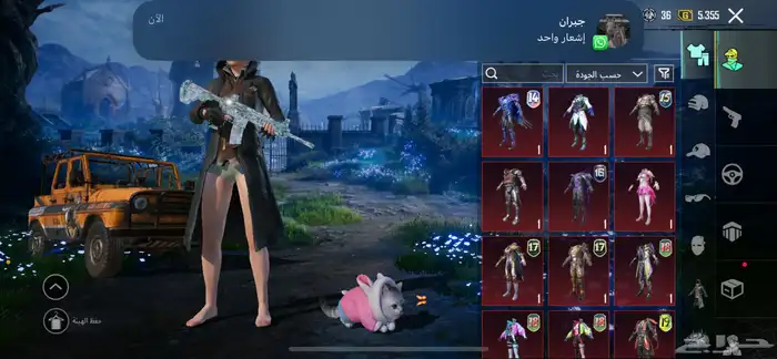 حساب ببجي للبيع استلام يد بيد 2