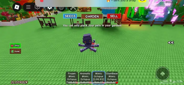 حساب روبلوكس عالم المملكة 12