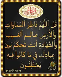 ذبايح حريات ونعيم 0