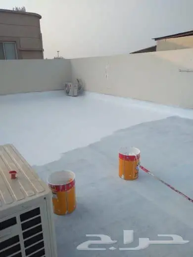 صباغ الاحساء 12