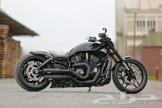 مطلوب دباب هارلي night rod 0