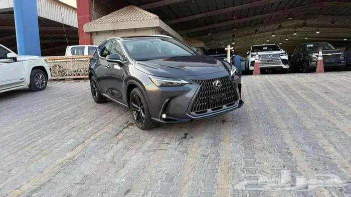 لكزس NX350 فئة AA 2025 ستاندر خليجي 0