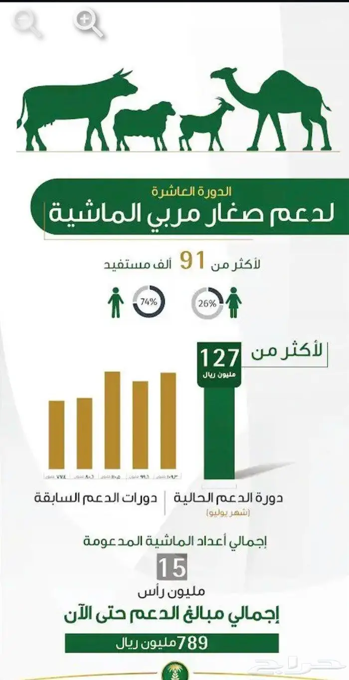 ضمان و حساب مواطن و دعم مواشي 0
