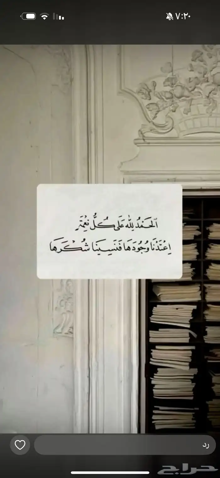 معلمة تاسيس ومتابعه حي المنصوره 0