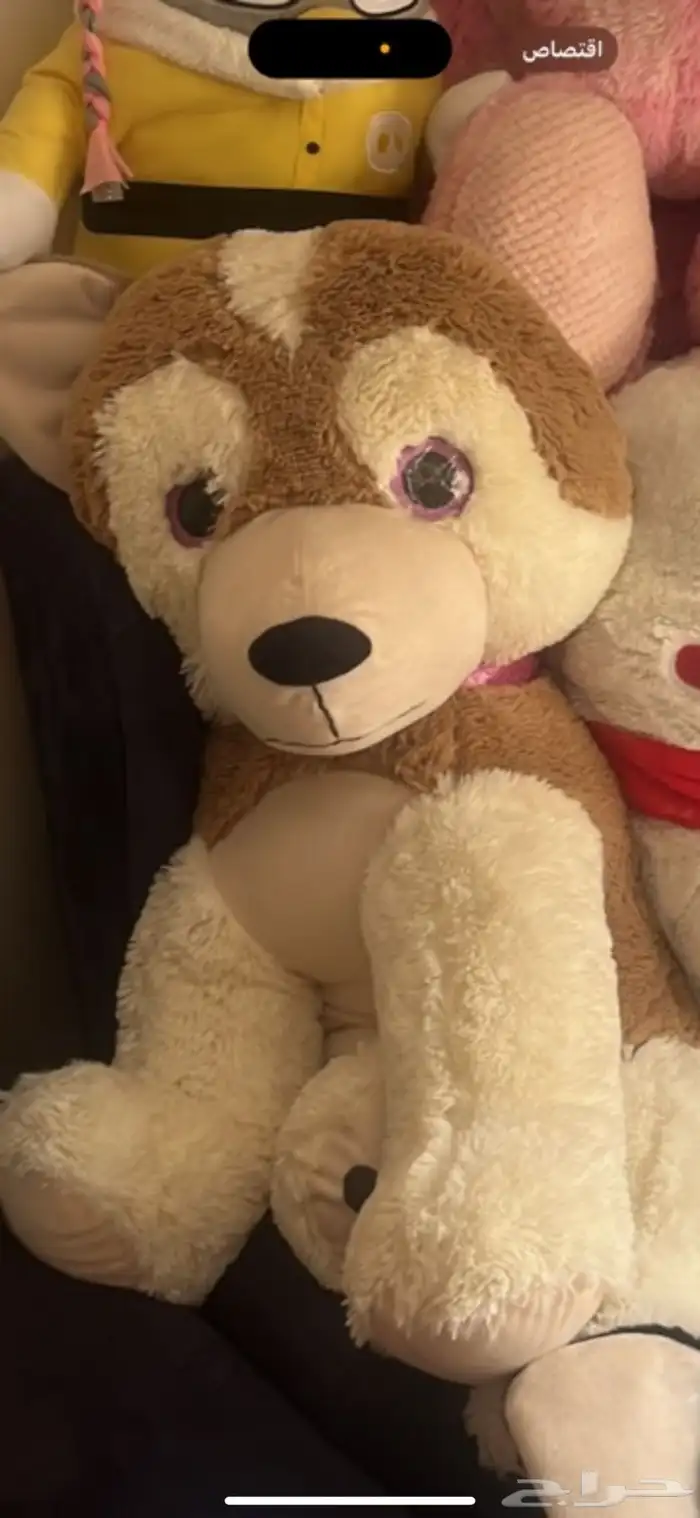 دبب ودمى احجام متنوعه 9