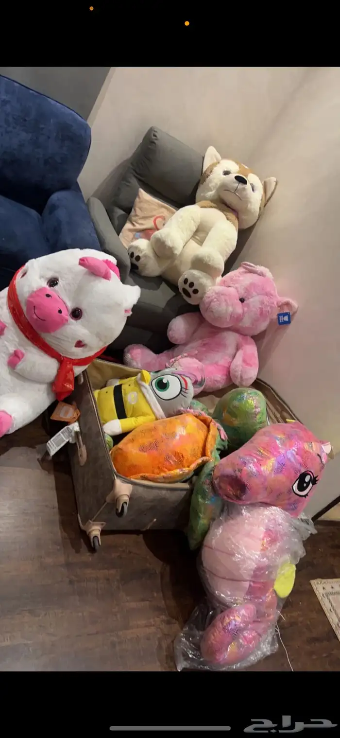 دبب ودمى احجام متنوعه 1