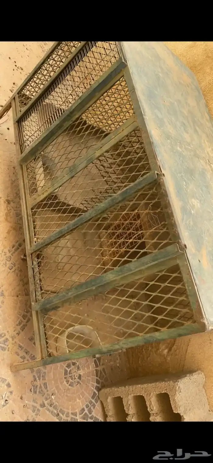 للبيع قفصين 0