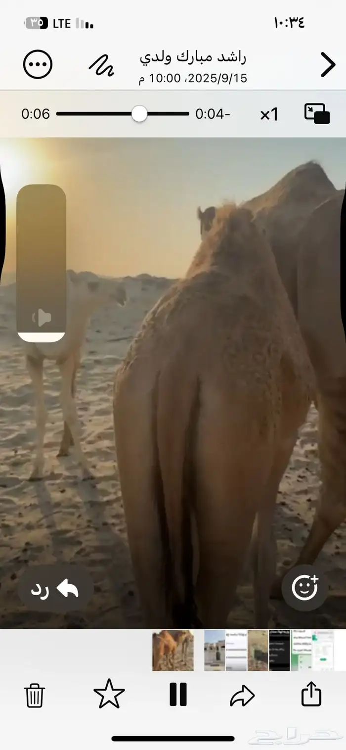 قعود للبيع شرق كبري صلاصل وغرب الدمام 1