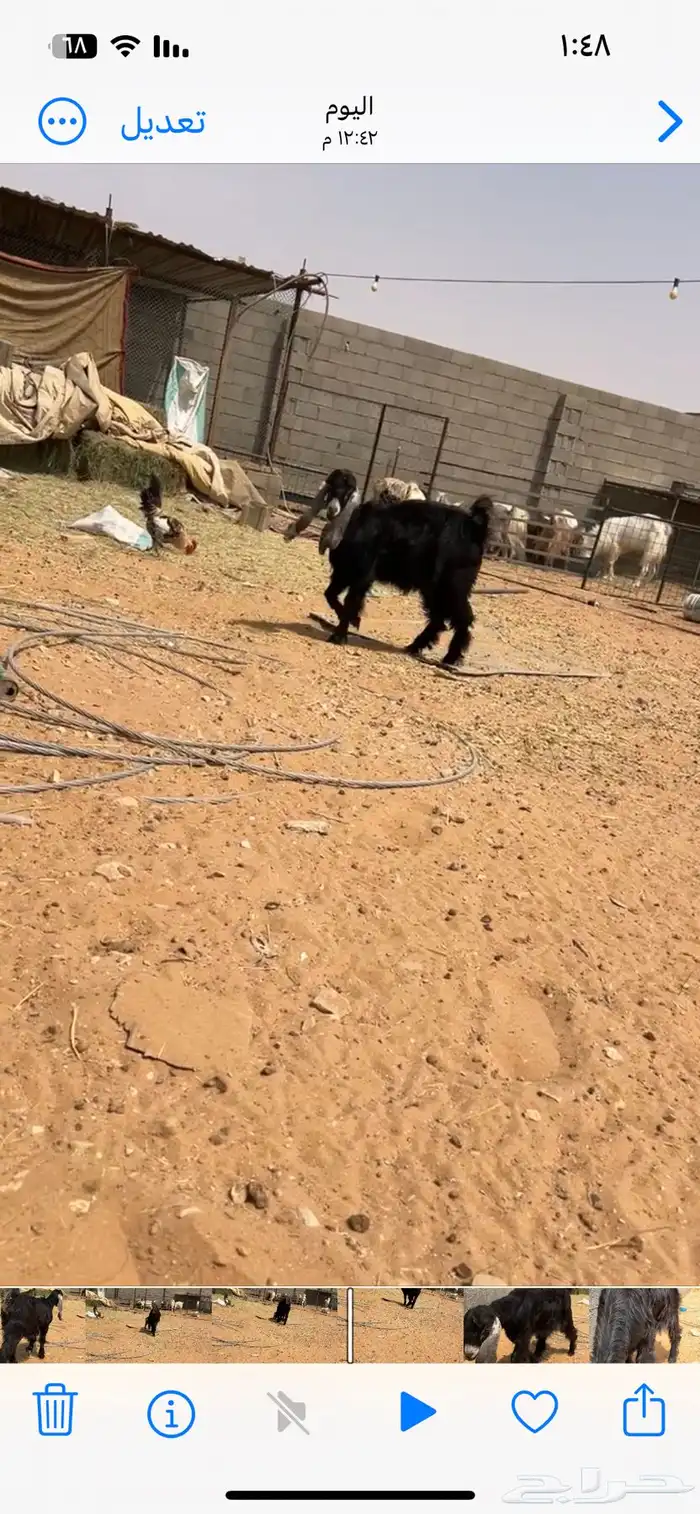 جفره عارضيه 1