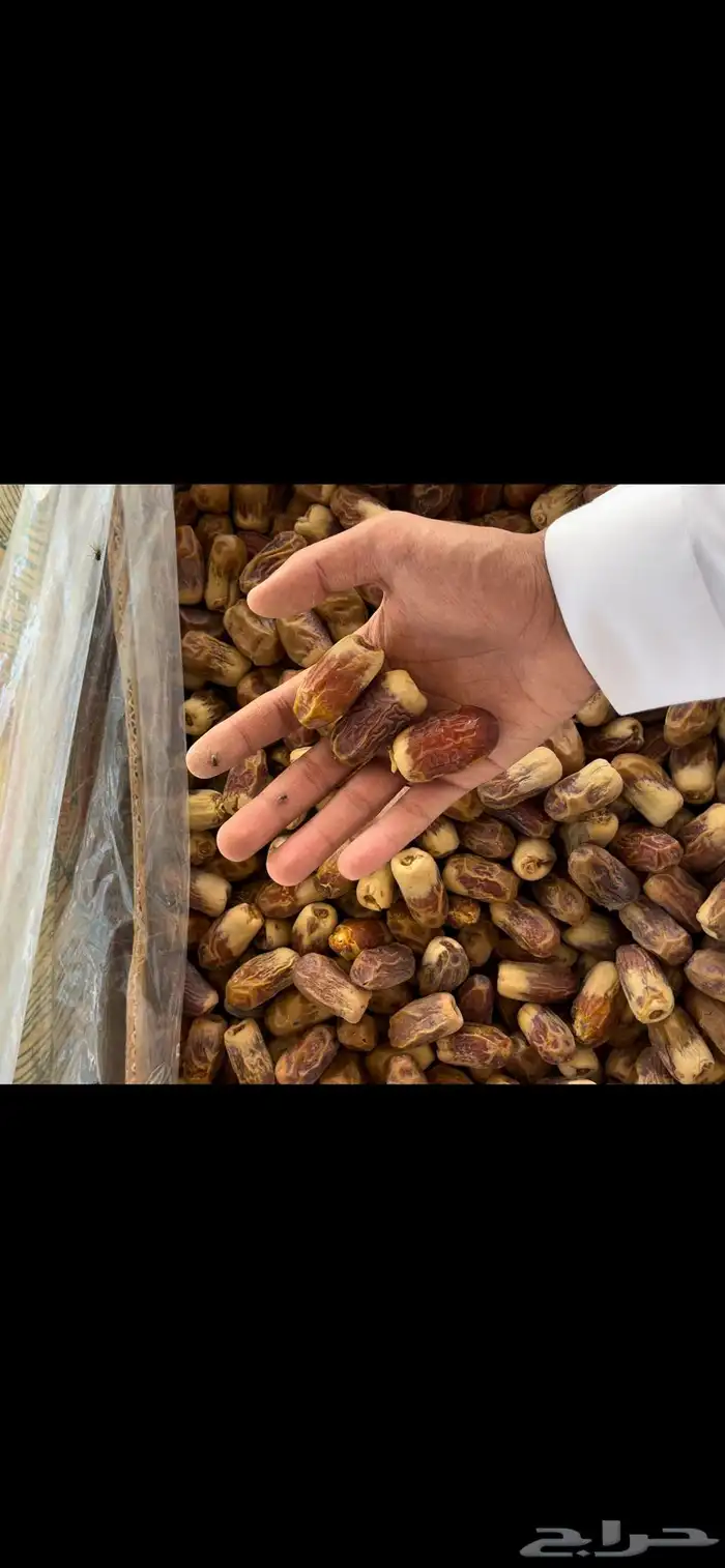 تمر سري خلاص صقعي وبعض الانواع 2