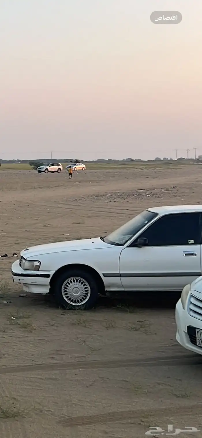 كرسيدا 96 0