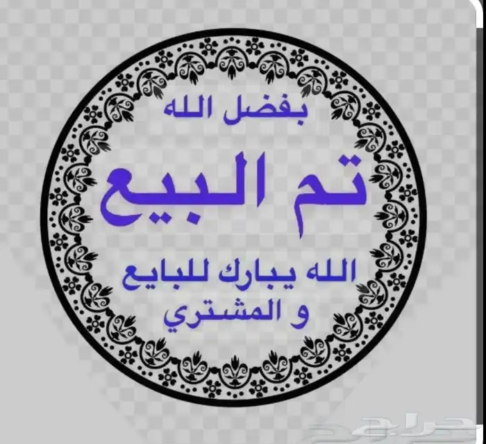 عنز حليب سديس 4