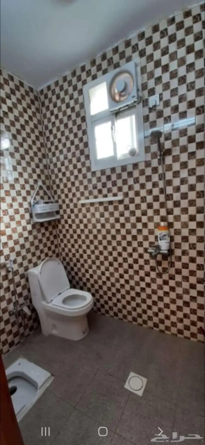 حلباء 6