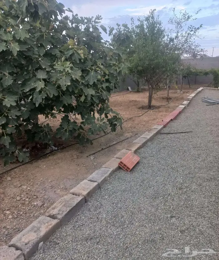دور مستقل للايجار 13